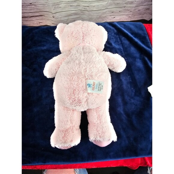 Gund My First‎ Teddy Bear Stuffed Animal - Pink Plush Bear 15" - Picture 6 of 11